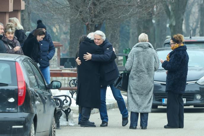 Mika Aleksić (4).jpeg