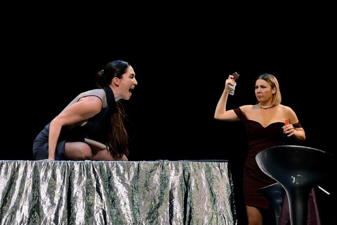 predstava Privatna proslava (1).JPEG