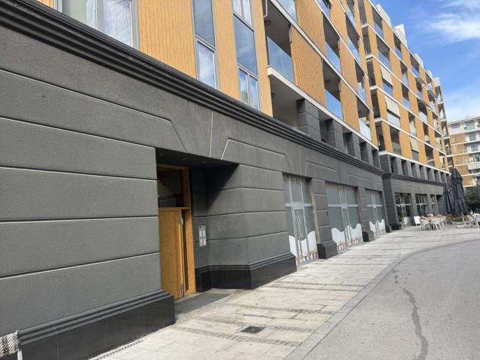 Milica Todoorvić (4).jpg