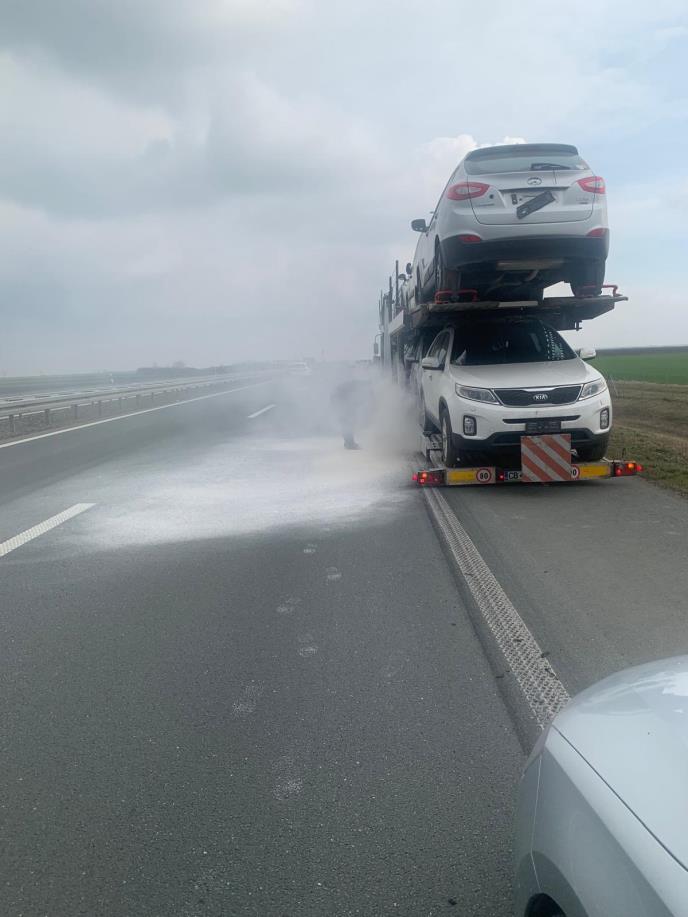 WhatsApp Image 2026-02-08 at 14.51.59.jpeg