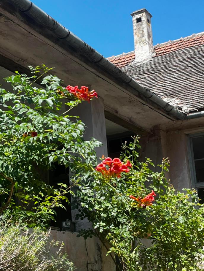 Screenshot 2026-02-16 142507.jpg