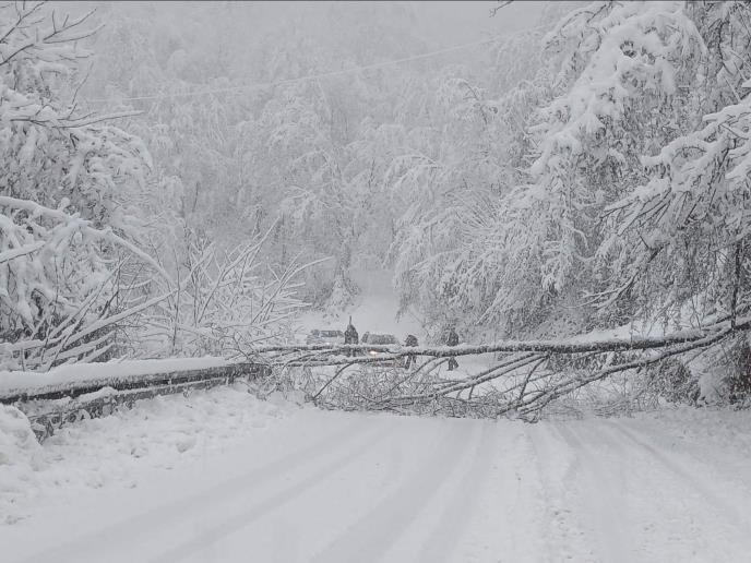 Sneg - Perućac - Mitrovac na Tari.jpg