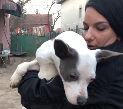 Screenshot 2026-02-22 124857.jpg