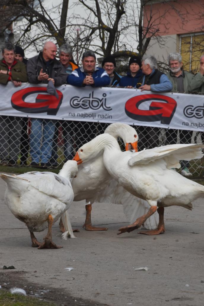 WhatsApp Image 2026-02-22 at 16.06.17.jpeg