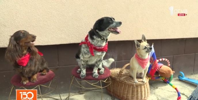 Cirkus u selu Klenak