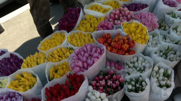 Sequence 01.01_47_49_08.Still004.jpg