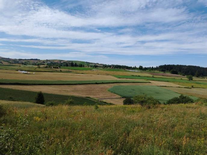 Jeftine nekretnine Srbije (3).jpg