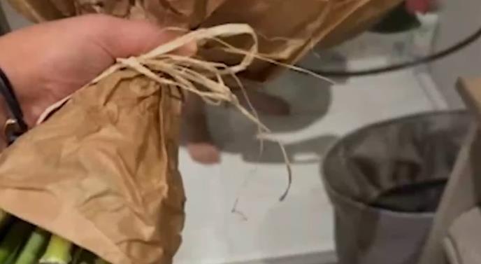 Marija Šerifović uletela Verici pod tuš