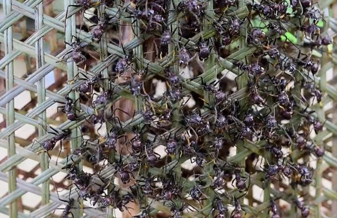 Screenshot 2026-03-14 184728.png