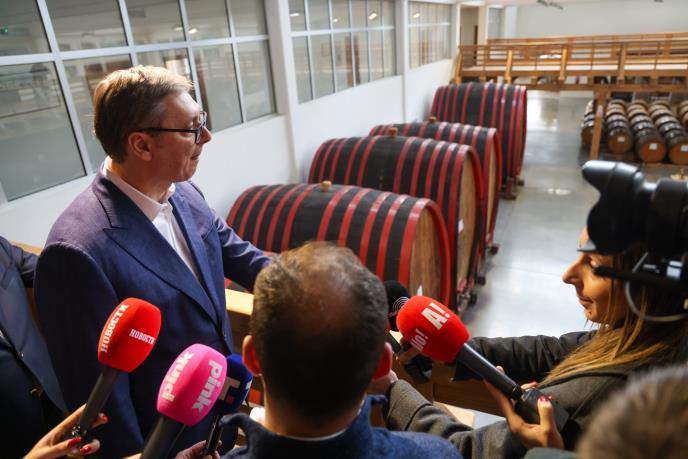 Aleksandar Vučić Bajina Bašta  (6).jpeg