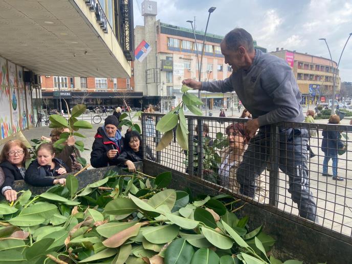 WhatsApp Image 2026-03-24 at 15.54.41.jpeg