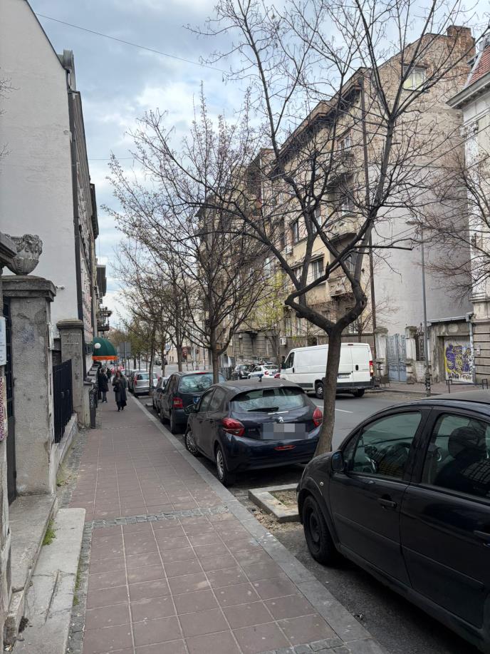 Dorćol Mrtav Muškarac (7).jpeg