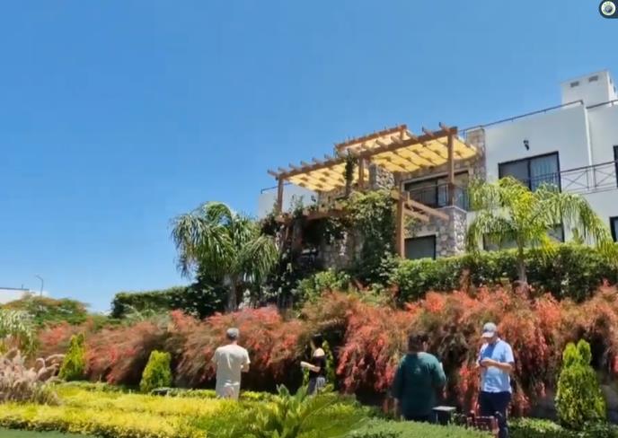 Čedomir Jovanović Aca Maldivi (7).png