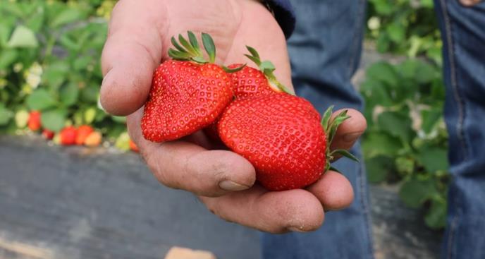 Screenshot 2026-03-30 130948.png