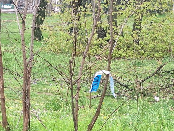 Humska ulica izbodena žena (1).jpeg