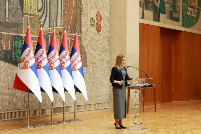 Milica Đurđević Stamenkovski pomoć u kući (4).jpeg