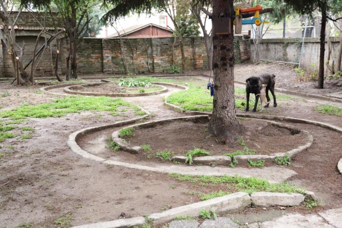 Kristijan Golubović (7).jpeg