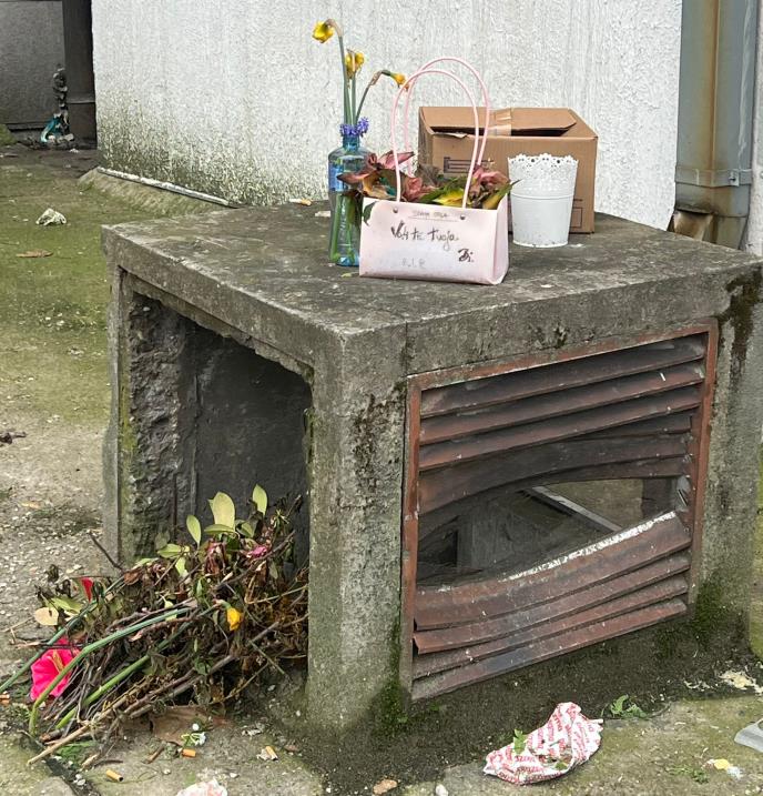 WhatsApp Image 2026-04-01 at 14.56.20 (1).jpeg