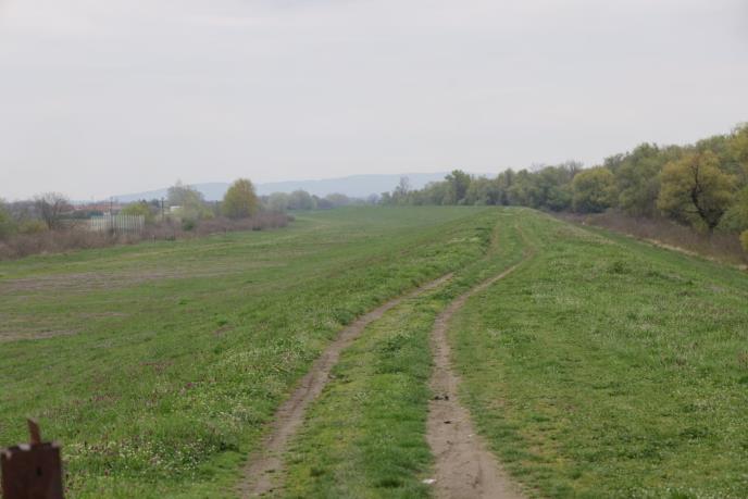 WhatsApp Image 2026-04-02 at 12.53.56.jpeg