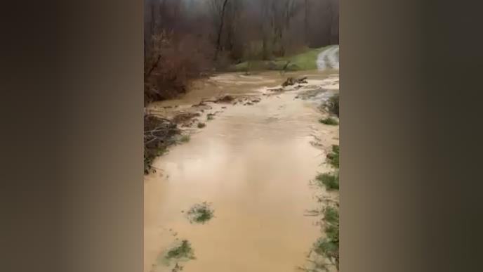 1775138636Foto - RINA – izlila se reka Osonica_2.1.1.jpg