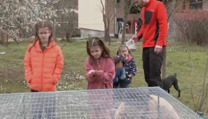 Screenshot 2026-04-03 164108.png