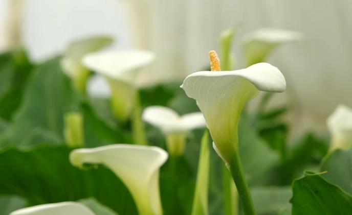 Screenshot 2026-04-06 101704.jpg