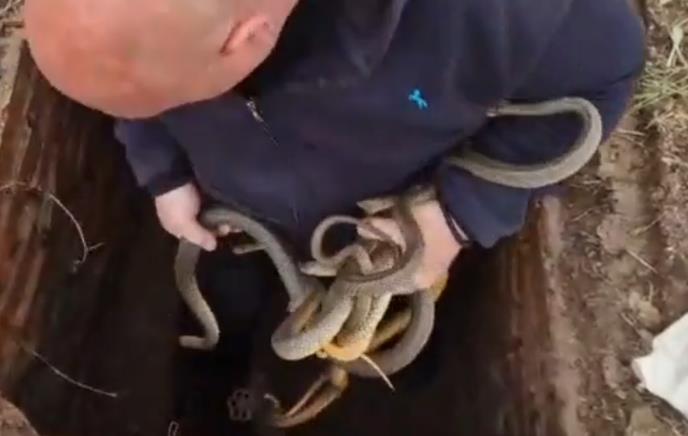 Screenshot 2026-04-11 180241.jpg