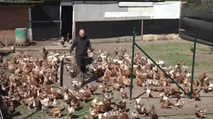 Screenshot 2026-04-12 141138.jpg