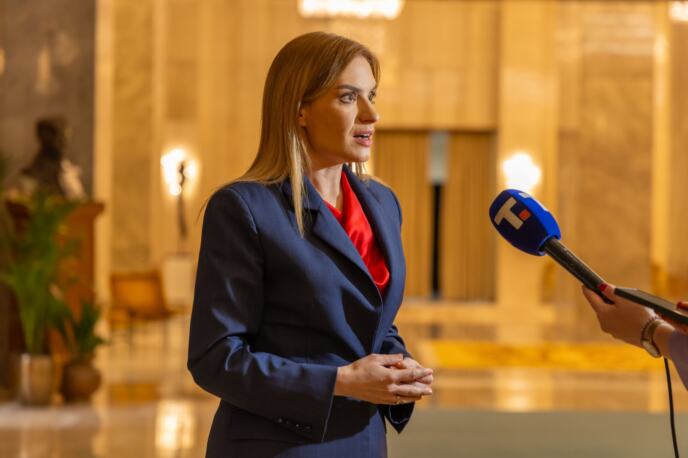 Milica Đurđević Stamenkovski.jpeg