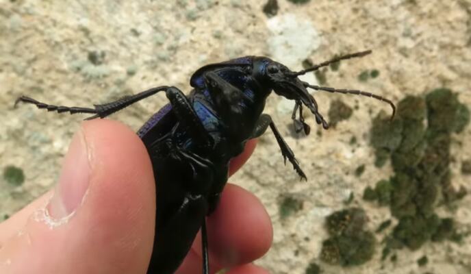 Screenshot 2026-04-21 140112.png