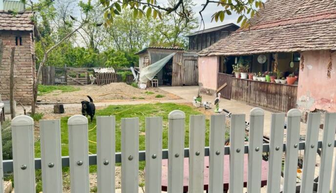 Ubistvo u Hrtkovcima