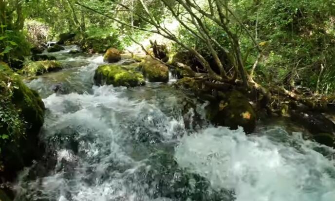 Screenshot 2026-04-22 135933.png