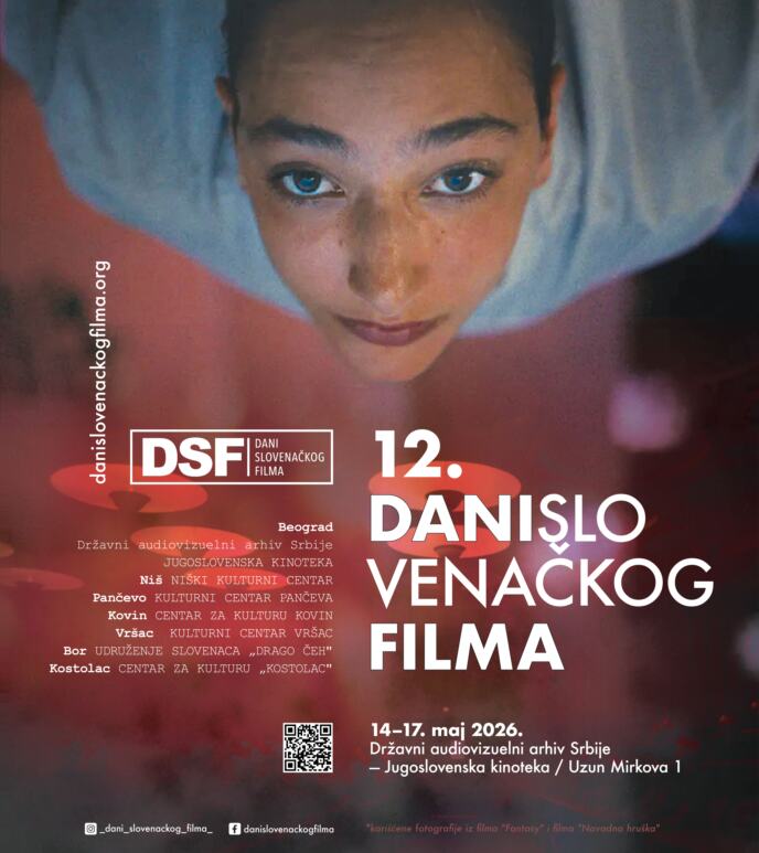 Vizual DSF.jpg