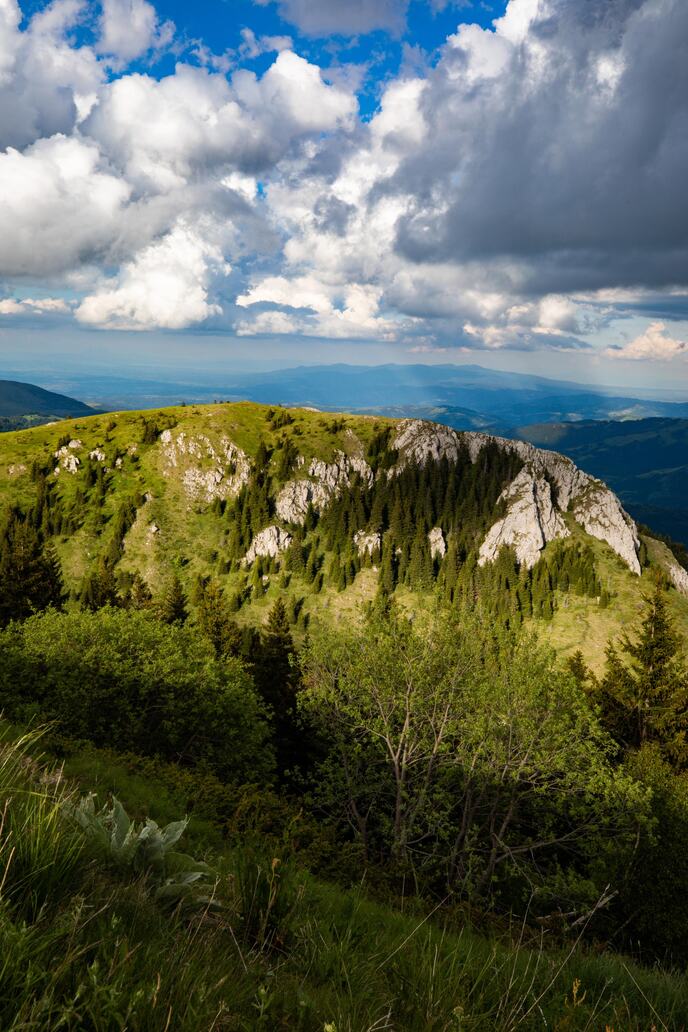 Kopaonik ,priroda,leto-autor Andrej Nihil copy.jpg