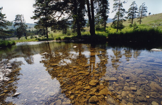 Zlatibor, Branko Jovanović.jpg