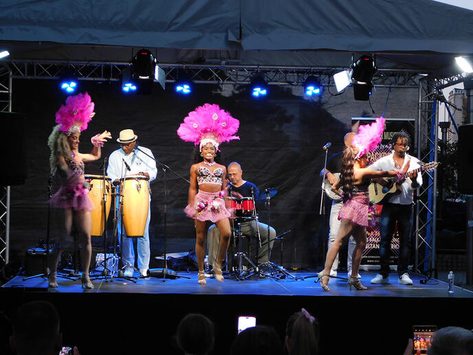 LOZNICA - Salsa i ponto.JPG