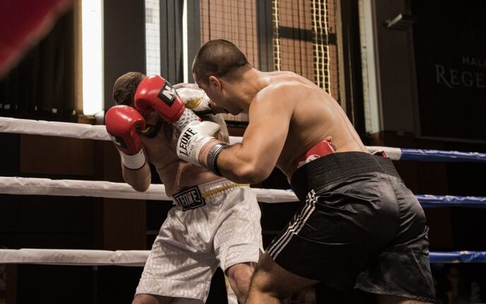 Balkan boxing 4.jpg
