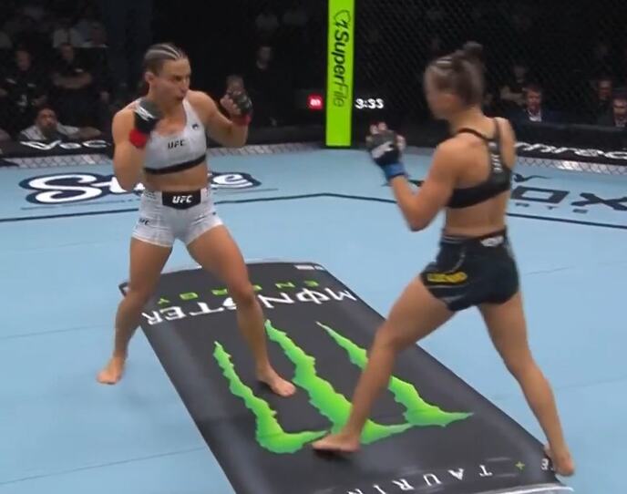 Marina Spasić, Stefani Lucijano, UFC