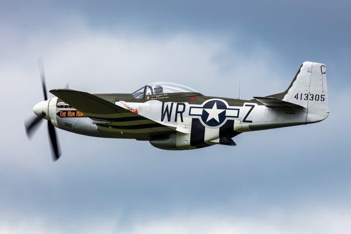 North American P-51 Mustang (3).jpg