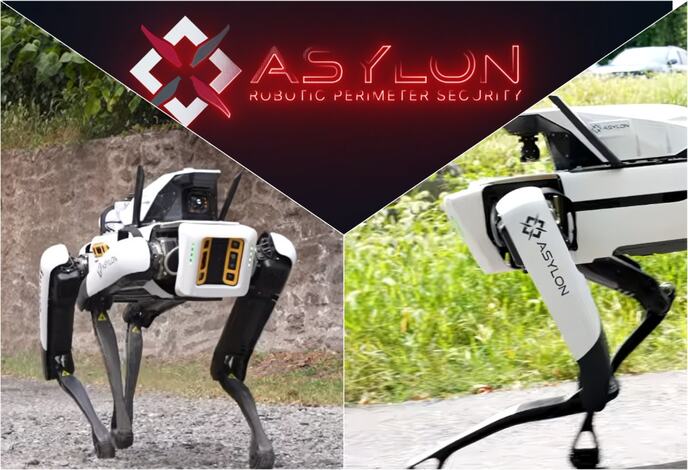 Asylon robotic 3.jpg