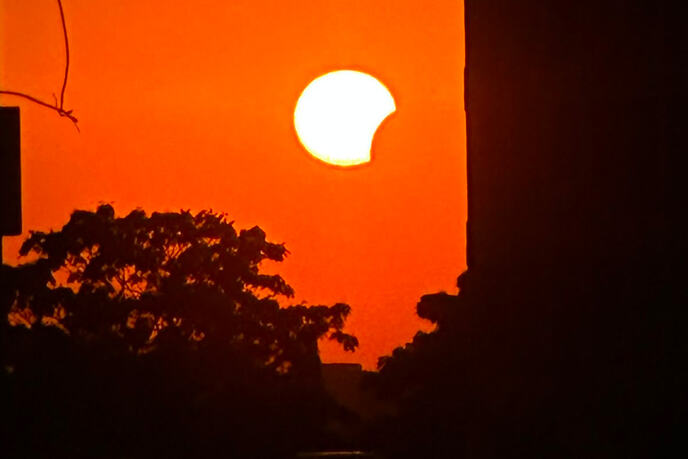 sunce.jpg