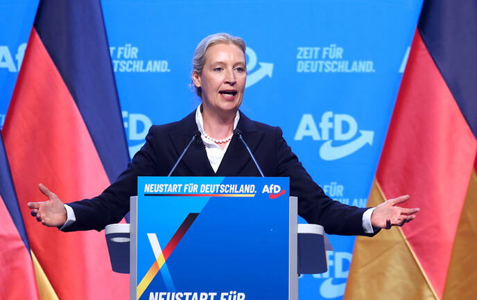Alis Vajdel AFD Nemčka (6).jpg