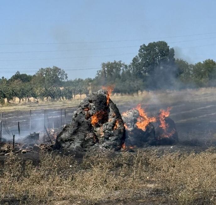 požar u selu Mađare