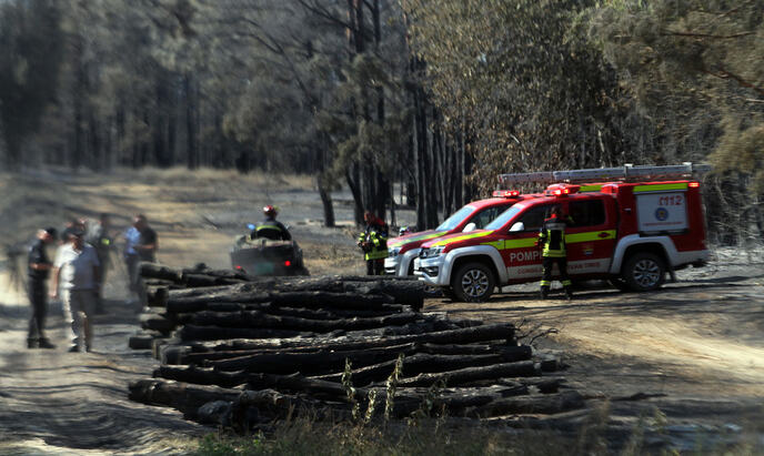 dp005.jpg