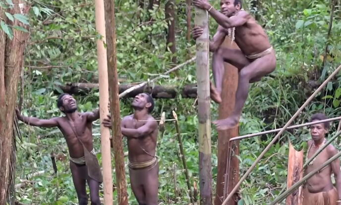 Papua Nova Gvineja, pleme