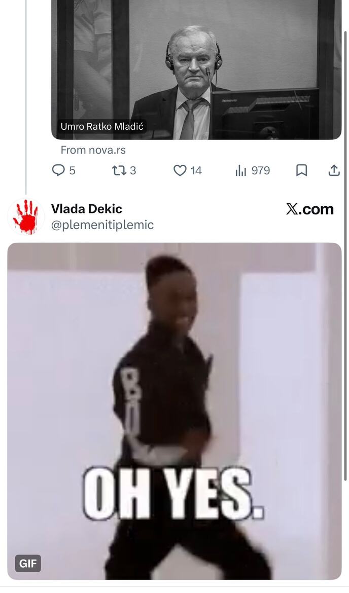 Ratko Mladic objave (2).jpeg