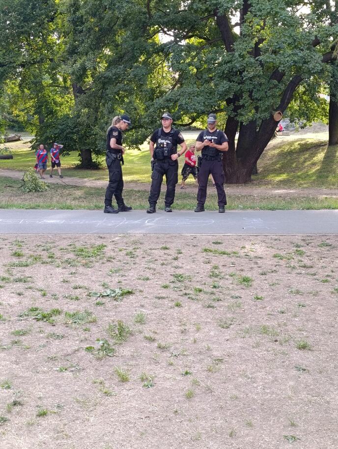 Delije u Češkoj
