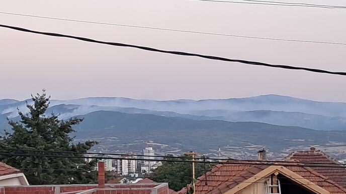 POZARDANAS1.jpg