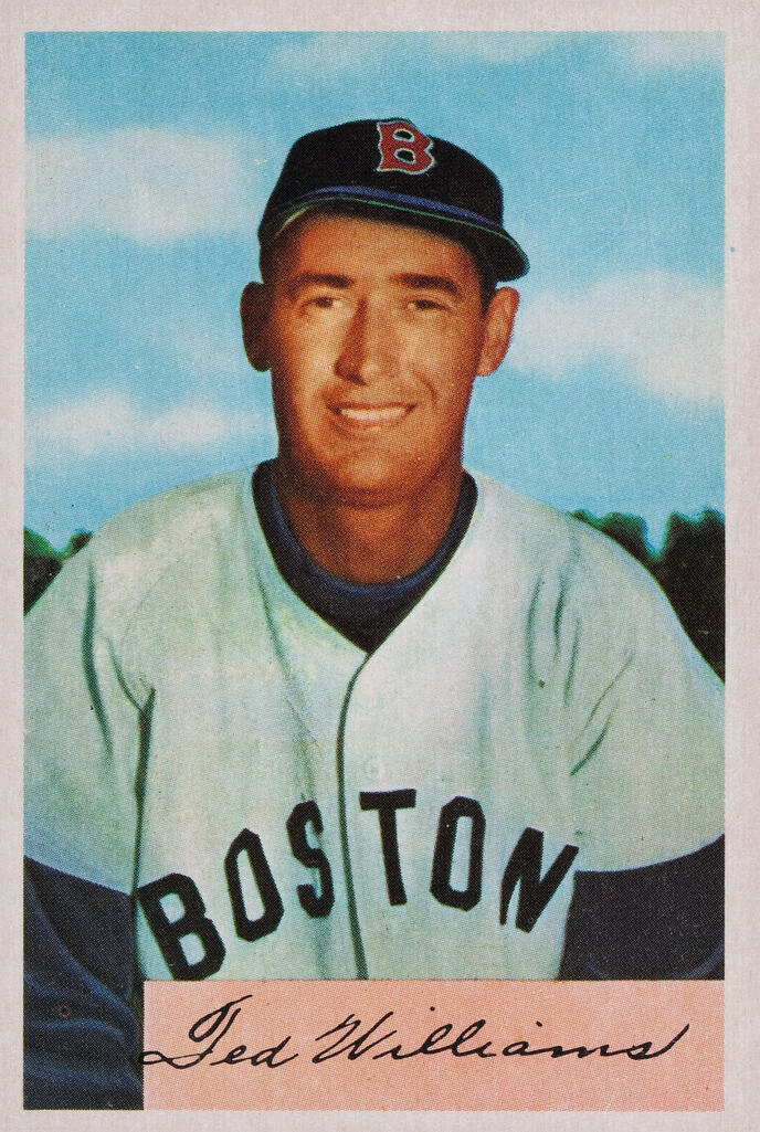 Ted Vilijams