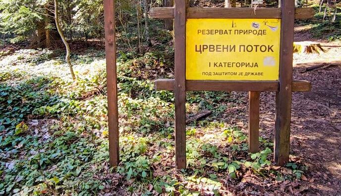 Crveni potok.jpg